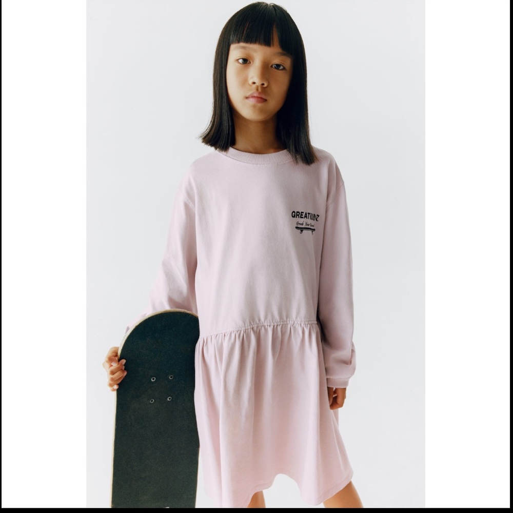 ✨SALE✨Zara plush skater dress ✨SALE✨